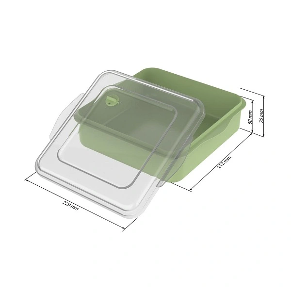 Mehrweg Lunchbox eckig mit transparentem Deckel in grün mit Maße